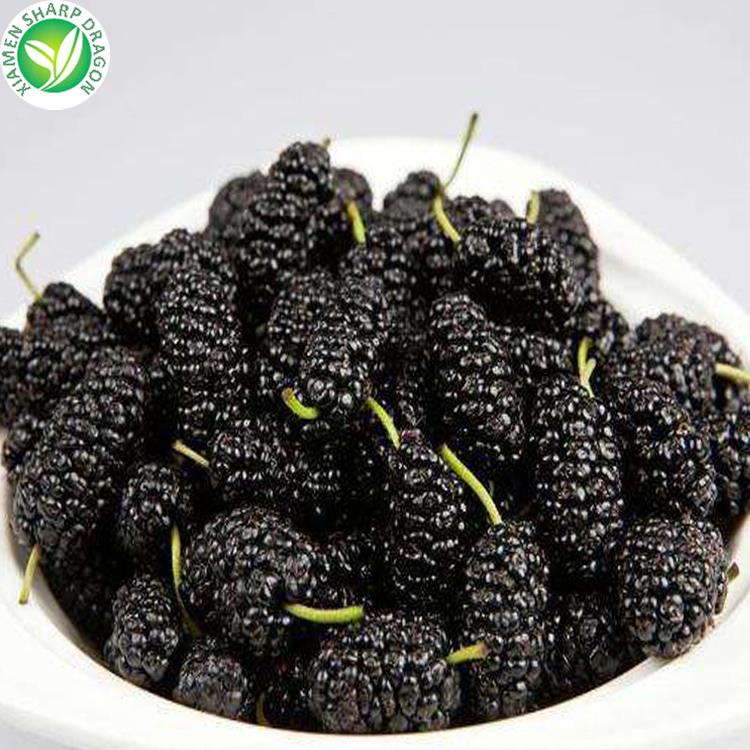 buy best mulberries