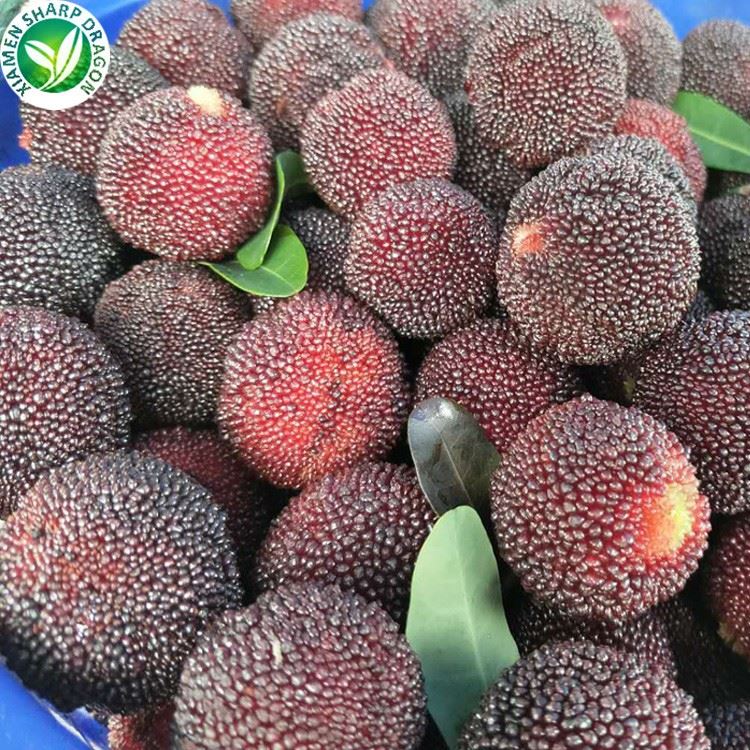 Bayberry