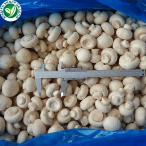 Nutrição com Cogumelo Champignon