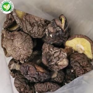 Compradores de cogumelos secos