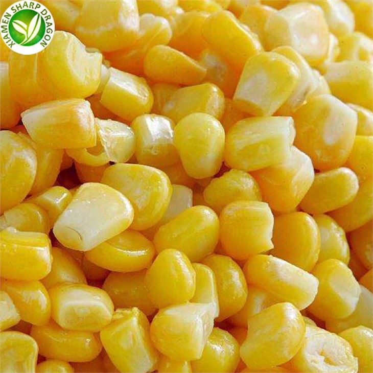 Atacado de Grãos de Milho Doce Congelados