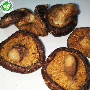 Cogumelo Frito À Venda