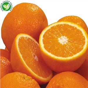Laranja NOVA TEMPORADA