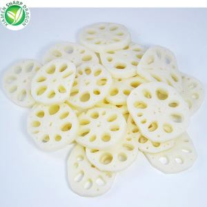 Raiz de lótus chinês