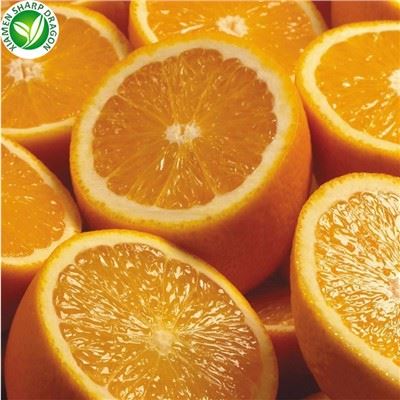Segmentos de laranja congelados Iqf